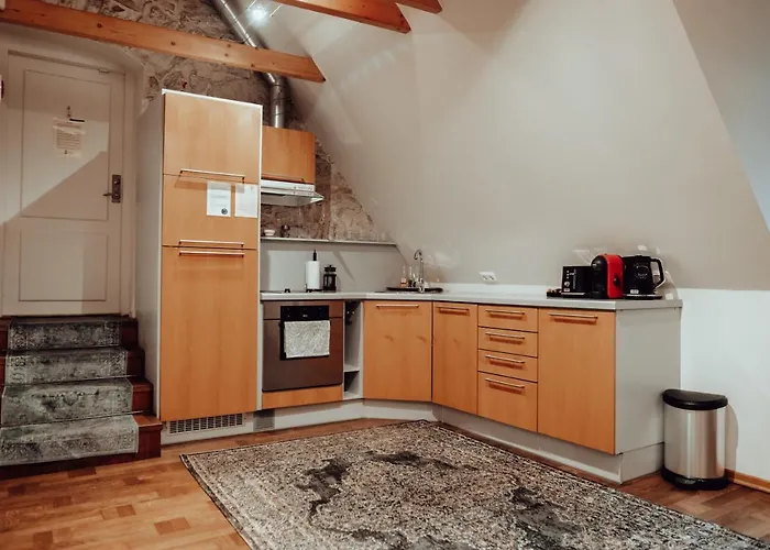 Διαμέρισμα Rataskaevu Boutique - 7 Unique Ταλίν